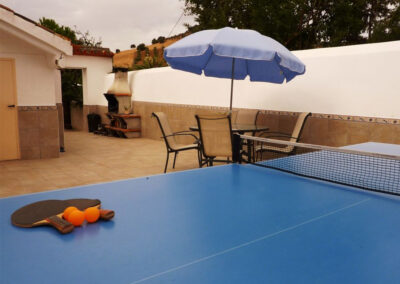 The rear patio & barbecue area at Casa La Palmera, Arroyo Coche