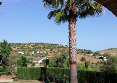 The view from Casa Los Lirios, Villanueva de la Concepción
