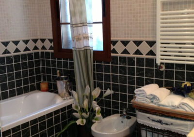 Bathroom #1 at Villa Antisa, Villanueva de la Concepción