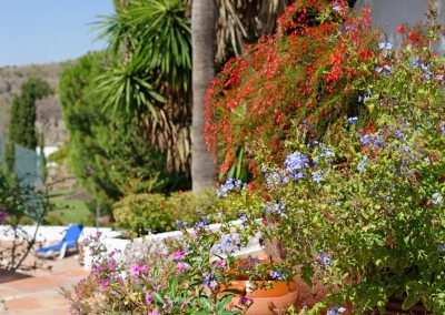 The grounds of Villa Casanova, Nerja are covered in an abundance of lush vegetation